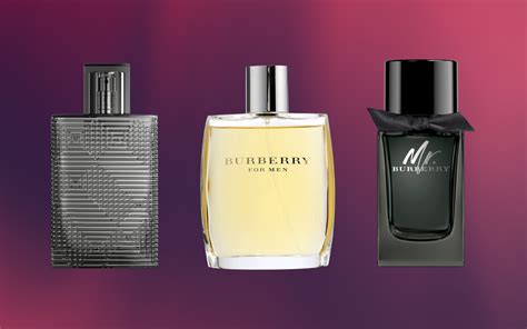 burberry perfume for men review